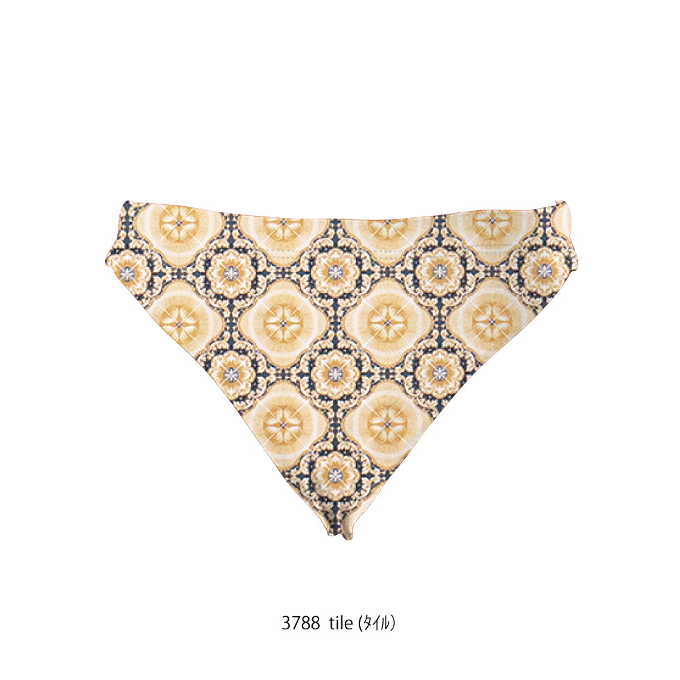 Brazilian Bikini pants