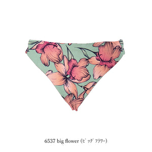 6537大花