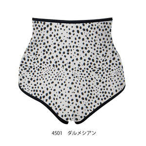 4501　dalmatian (ﾀﾞﾙﾒｼｱﾝ）※予約準備中